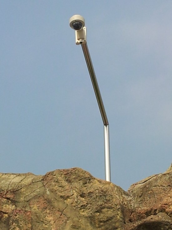 Outdoor Installation 1